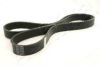 ASHIKA 112-6PK1320 V-Ribbed Belts